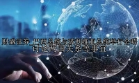 巴西总统与玻利维亚总统举行会晤 讨论两国关系等事宜